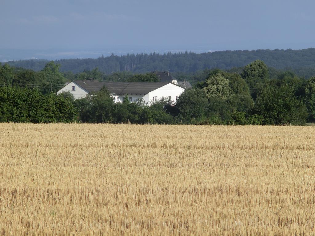 דירות בלאנקנראת' Lindenhof Hahn מראה חיצוני תמונה